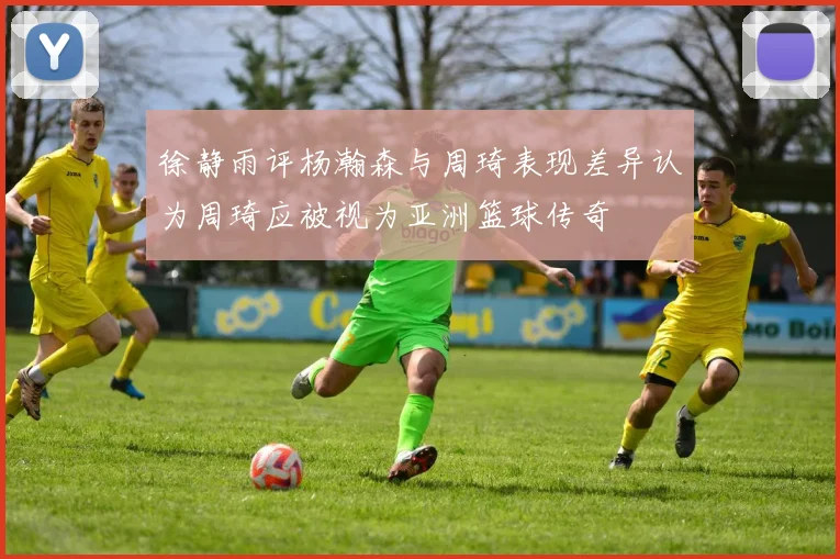 徐静雨评杨瀚森与周琦表现差异认为周琦应被视为亚洲篮球传奇