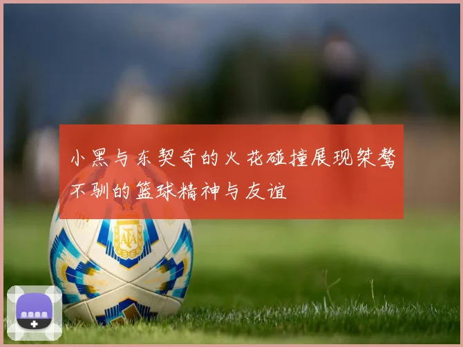小黑与东契奇的火花碰撞展现桀骜不驯的篮球精神与友谊